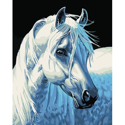 Gaira malování podle čísel Bílý kůň