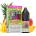 Juice Sauz Drifter Bar Salts Pineapple Peach Mango