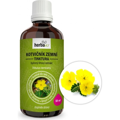 Herbavis Kotvičník zemní tinktura 50 ml