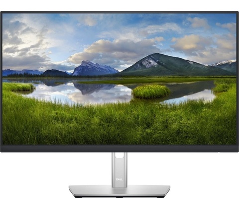 Dell P2422H