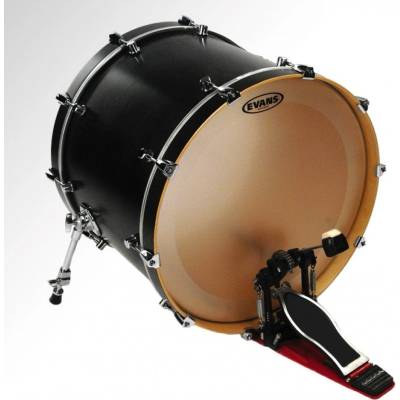 Evans BD20GB4C