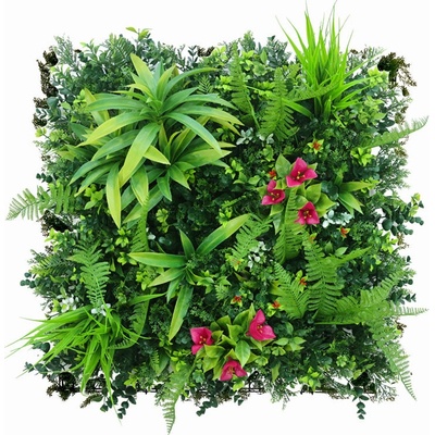 MINI WALL GREEN Dracaena, dielec 50 x 50 cm