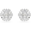 Swarovski 5691483