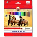 Koh-i-Noor 3145 36 ks