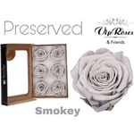  Стабилизирана вечна роза VIP Smokey