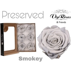  Стабилизирана вечна роза VIP Smokey