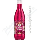 Bohemia Waters Zaječická hořká voda 0.5 l