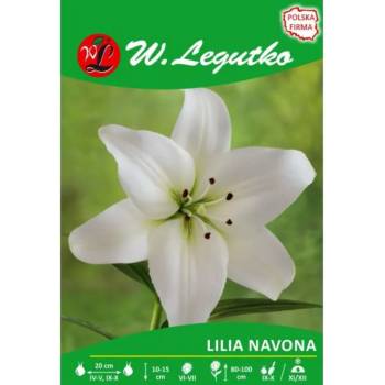 W. Legutko Бяла лилия Навона, 1 брой