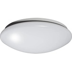 Fulgur ANETA 23980