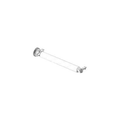 Zebra platen roller P1112640-062