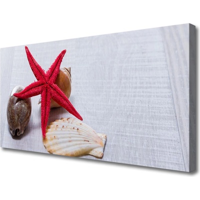 Obraz Canvas Hviezdice mušle umenie 100x50 cm