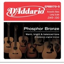 Daddario EPBB170-5