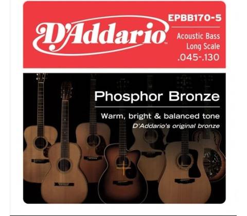 Daddario EPBB170-5