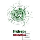 Divotvorce