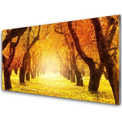 akrylový obraz Les Stezka Stromy Příroda 100x50 cm