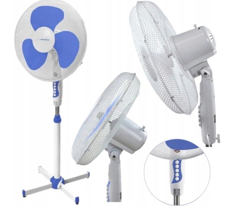 Esperanza EHF001WB
