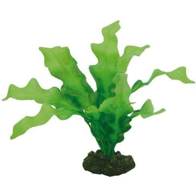 Hobby Plantasy Set 6