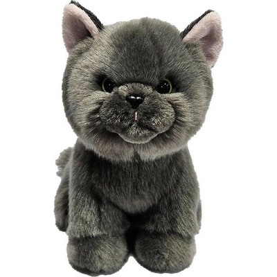 Silky Плюшена сива персийска котка (1010360f)