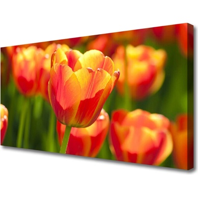 Obraz Canvas Tulipány kvety rastlina 100x50 cm