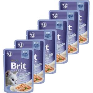 Brit Капсула BRIT Premium Cat Salmon in Jelly 6 x 85 г