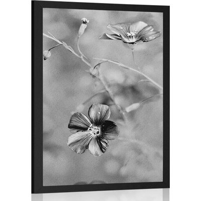 Plakát květiny v černobílém provedení - 60x90 white