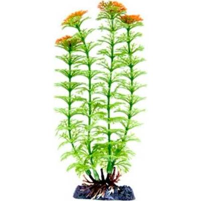 Penn Plax Ambulia Green L 28 cm