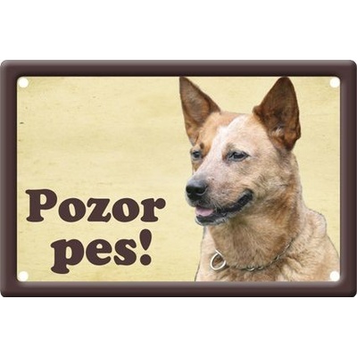 Plechová psí cedule, Australský honácký pes, Pozor pes