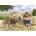 House of Puzzles - Puzzle Making Hay - 500 piese