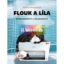 O kocourovi Floukovi, myši Líle a mrakodrapu - Petra Dvořáková