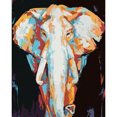 zuty Malování Podle Čísel Barevný Slon Na Černém Pozadí 80 x 100 Cm Plátno Rám