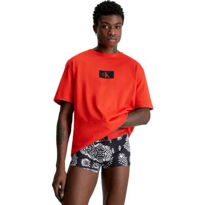 Calvin Klein pánske tričko Regular Fit CK96 NM2399E-XNZ