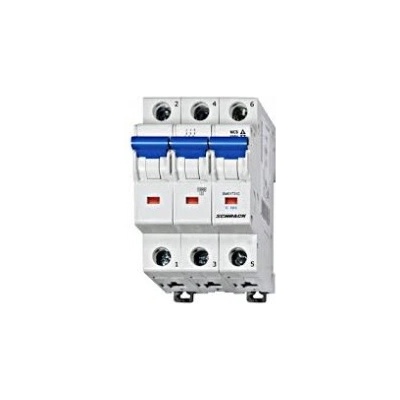 Schrack C 6kA BM017310