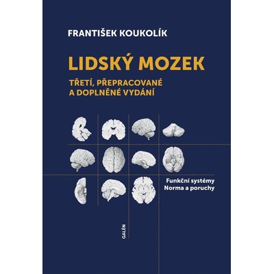 Lidský mozek