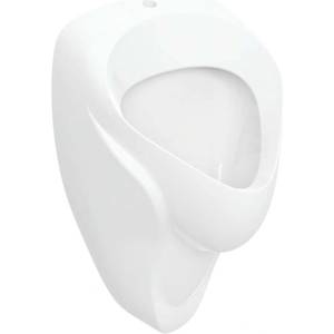 Geberit - Писоар, горно водоснабдяване, бял 502.905. 00.1 (502.905.00.1)