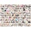 EUROGRAPHICS - Puzzle The World of Cats - 1 000 piese