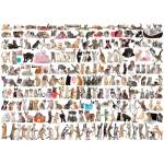 EUROGRAPHICS - Puzzle The World of Cats - 1 000 piese