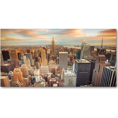 Fotoobraz na skle New York vtáčie pohľad 100x50 cm