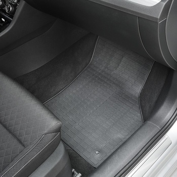 Umbrella Ford Focus 101105