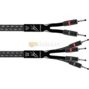 AudioQuest Rocket 33 SBW 2m
