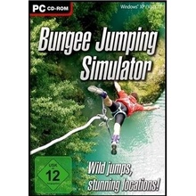 Bungee Jumping simulator