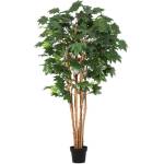 Bizzotto Клен канадски в саксия H175 cm (0173186)