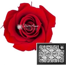 Stabilizované sametově červené růže v krabičce 12ks