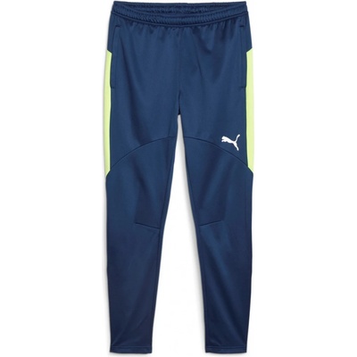 Puma Individual Winterized Men's Football pants 658511-01