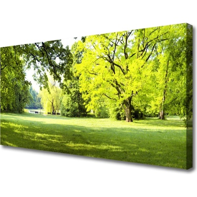 Obraz Canvas Tráva stromy park príroda 100x50 cm