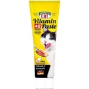 Perfecto Cat Vitamínová pasta 100 g