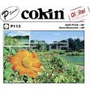 Cokin P113