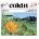 Cokin P113