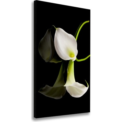 Vertikálny foto obraz na plátne do obývačky Biela dália 50x100 cm