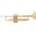 Bacio Instruments BTR-150