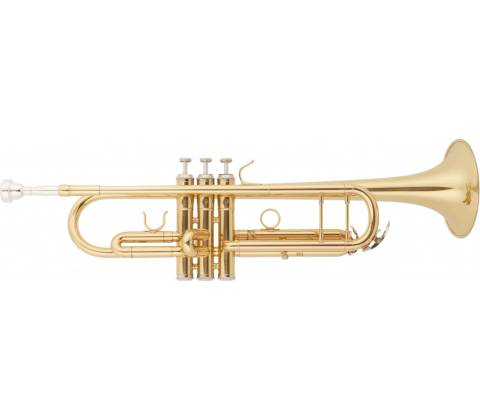 Bacio Instruments BTR-150
